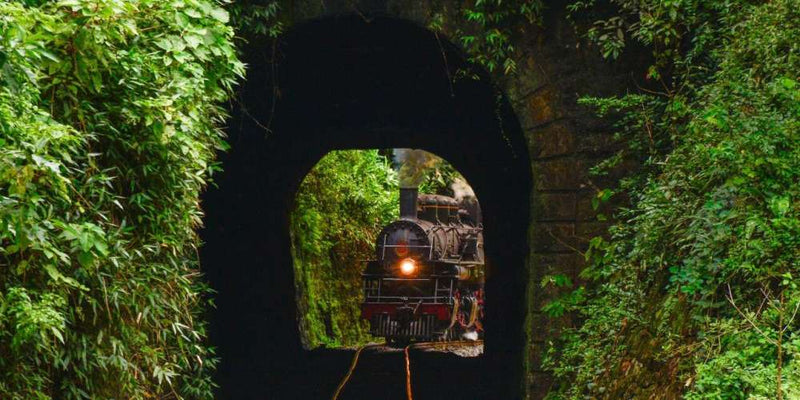 Trem serra do mar - 22/06